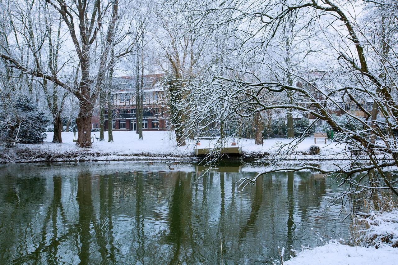 Romantik Hotel Hof Zur Linde Münster Eksteriør billede